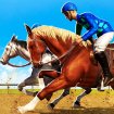 Derby  horse racing 3D